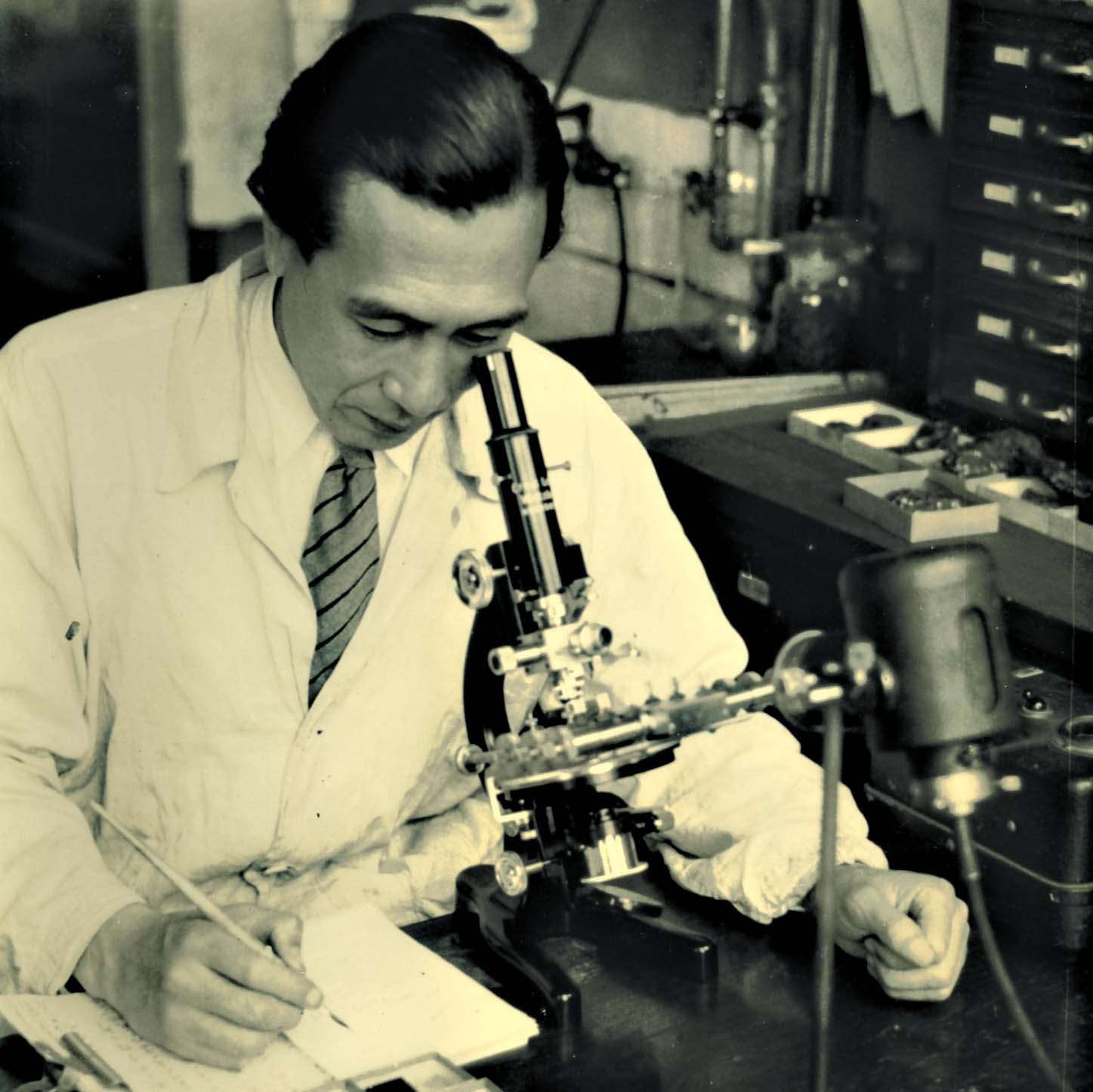 浅井一彦博士の研究風景